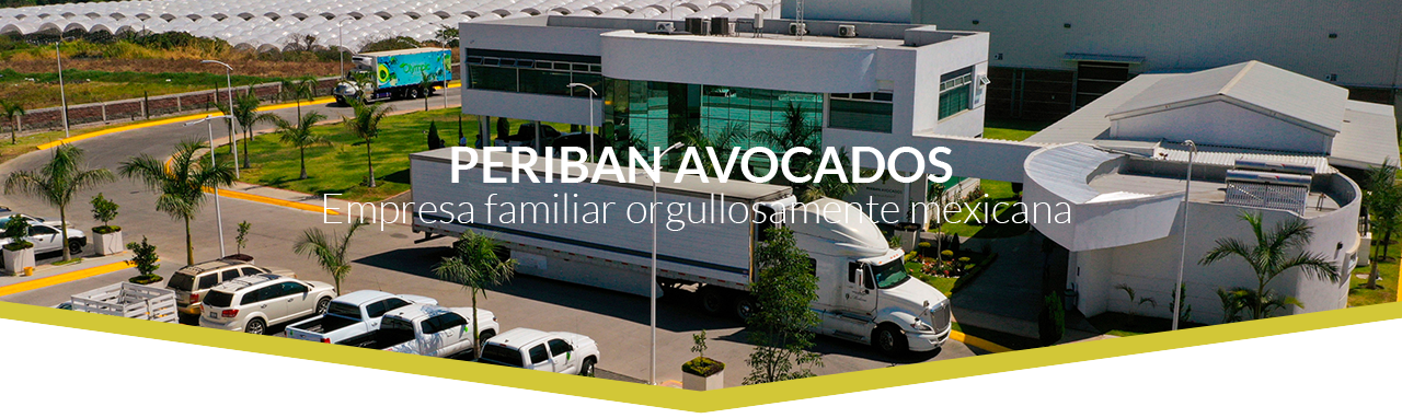 Periban Avocados Empresa familiar orgullosamente mexicana