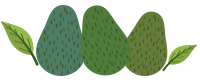 Periban Avocados