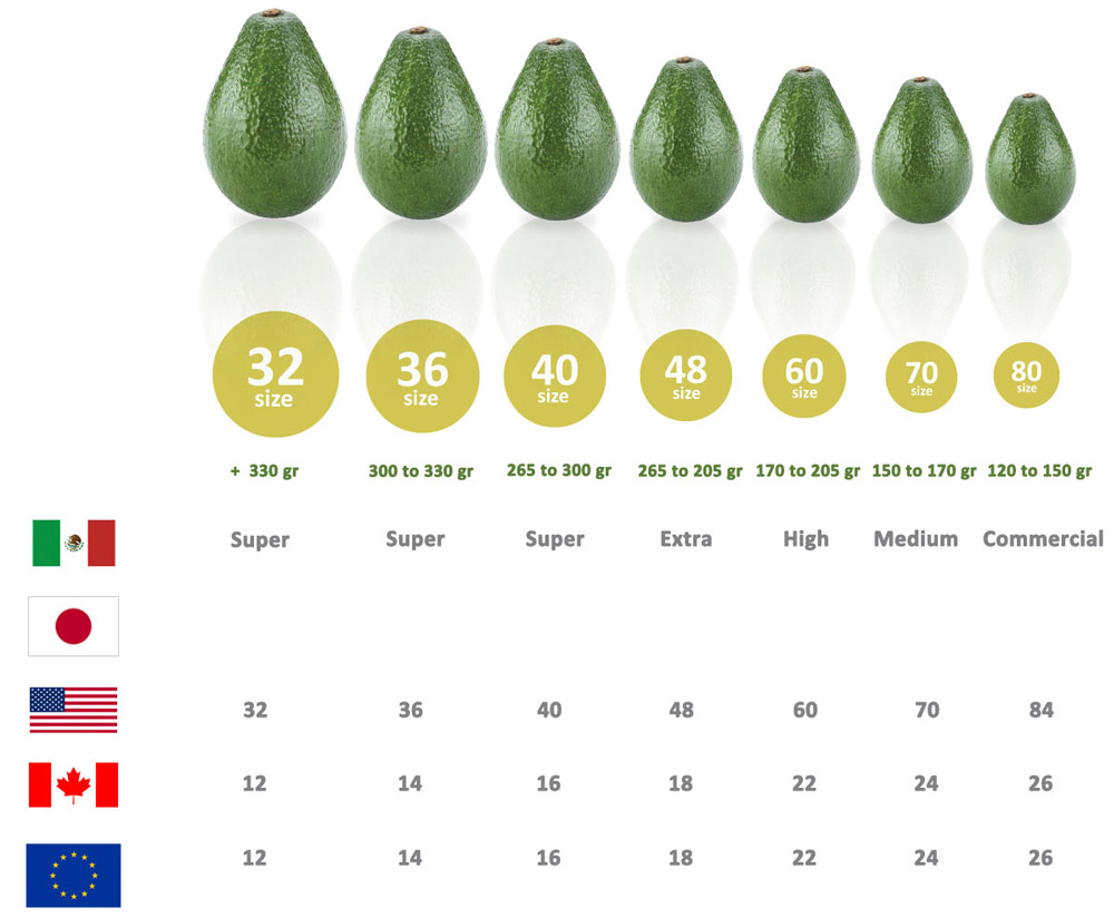 Periban Avocados Productos Empaques