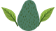 Periban Avocados clases de aguacates